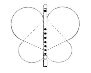 %e7%94%bb%e5%83%8f4%e8%9d%b6%e3%81%a8%e7%af%a0%e7%ac%9b%e3%83%8f%e3%83%bc%e3%83%88